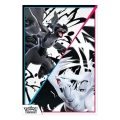 Pokémon TCG – Black Bolt & White Flare – Unova Poster Collection
